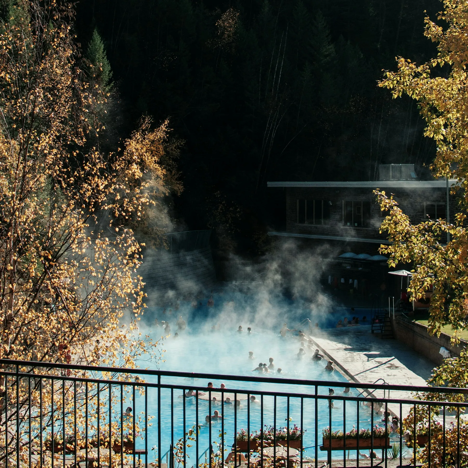 Vapeur au-dessus d’un bassin thermal entouré d’arbres